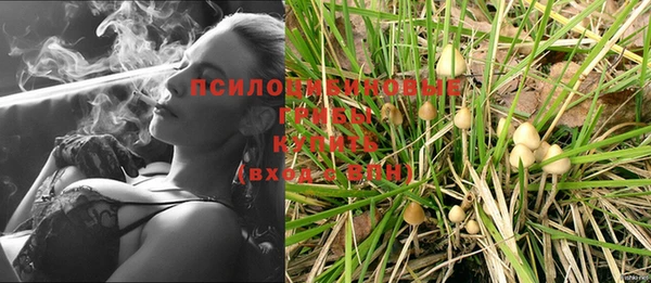 мяу мяу кристалл Алексин
