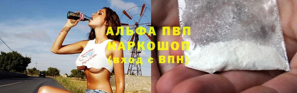 индика Алзамай