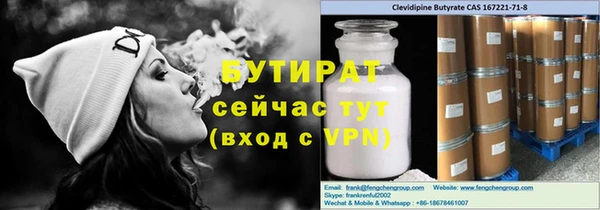 индика Алзамай