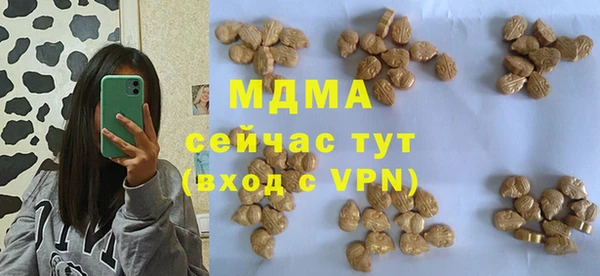 индика Алзамай